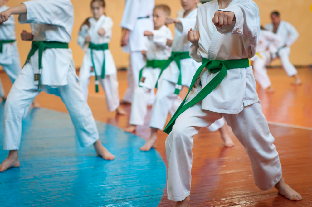 You are currently viewing 10 Benefits of Karate and Martial Arts for Kids